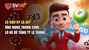 Lô chu kỳ