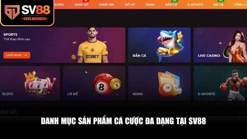 Trải nghiệm cá cược thể thao và casino trực tuyến SV88
